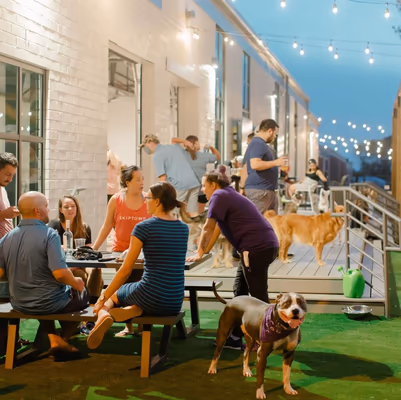 Skiptown Dog Bar & Park Charlotte photo 1